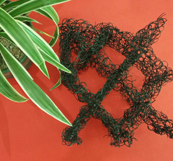 ���w�W(w��ng)������